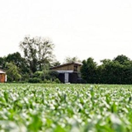 Appartamento Demeterhof Duenninger Hofheim in Unterfranken Esterno foto
